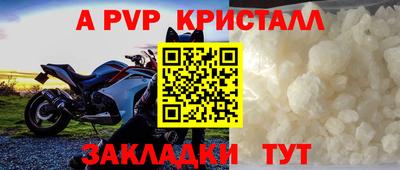 стаф Донецк